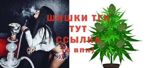 тгк Гусь-Хрустальный