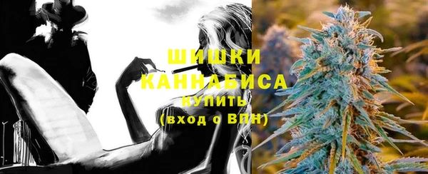 тгк Гусь-Хрустальный
