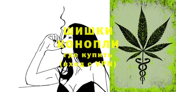 тгк Гусь-Хрустальный