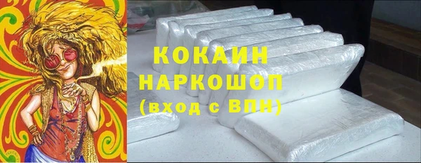 кокс Няндома