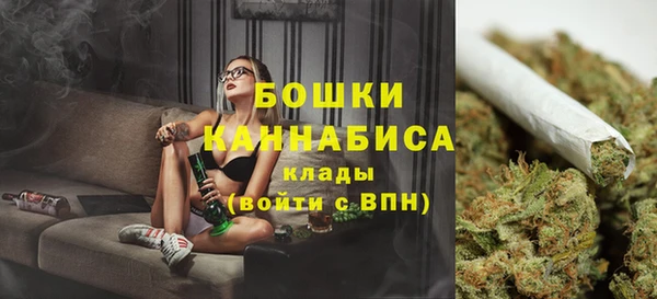 тгк Гусь-Хрустальный
