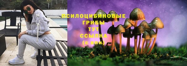 тгк Гусь-Хрустальный