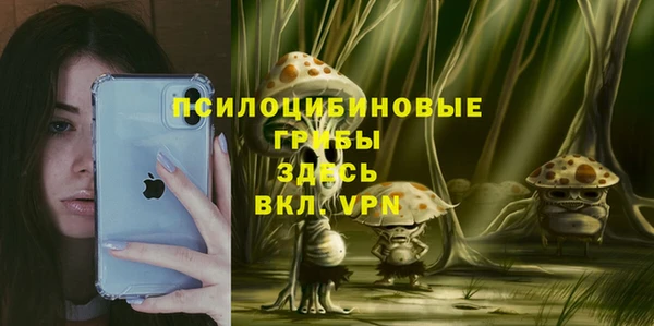 мдма Гусев