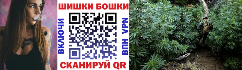 Каннабис планчик  Пласт 